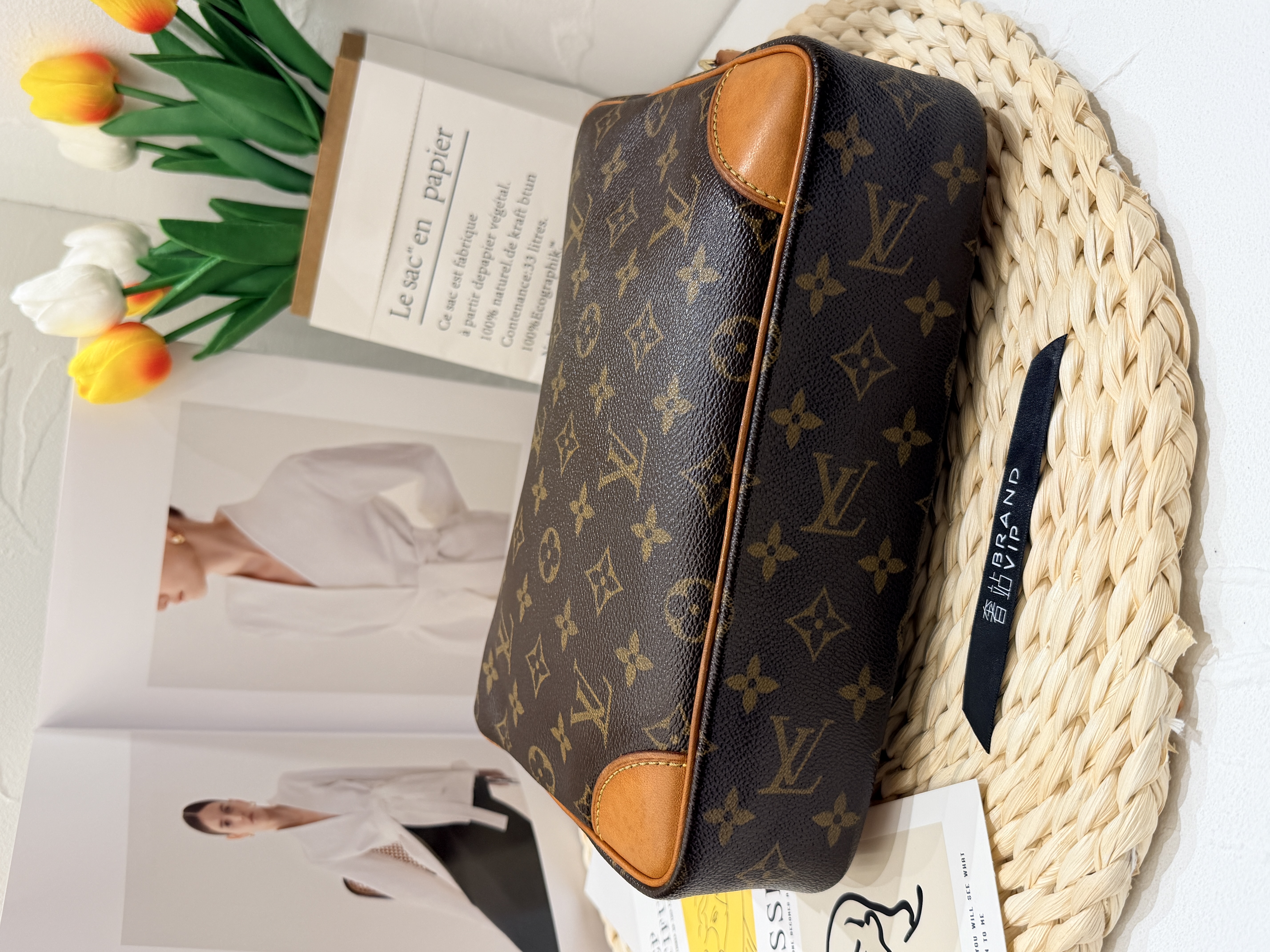 Louis Vuitton Camera Bag