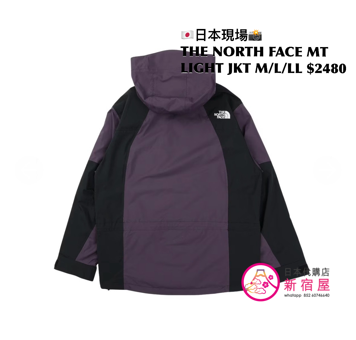 THE NORTH FACE MOUNTAIN LIGHT JACKET