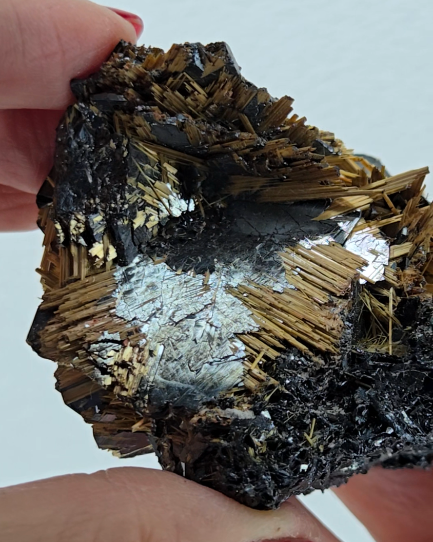 Golden exposed starburst rutiles on black hematite - RT288