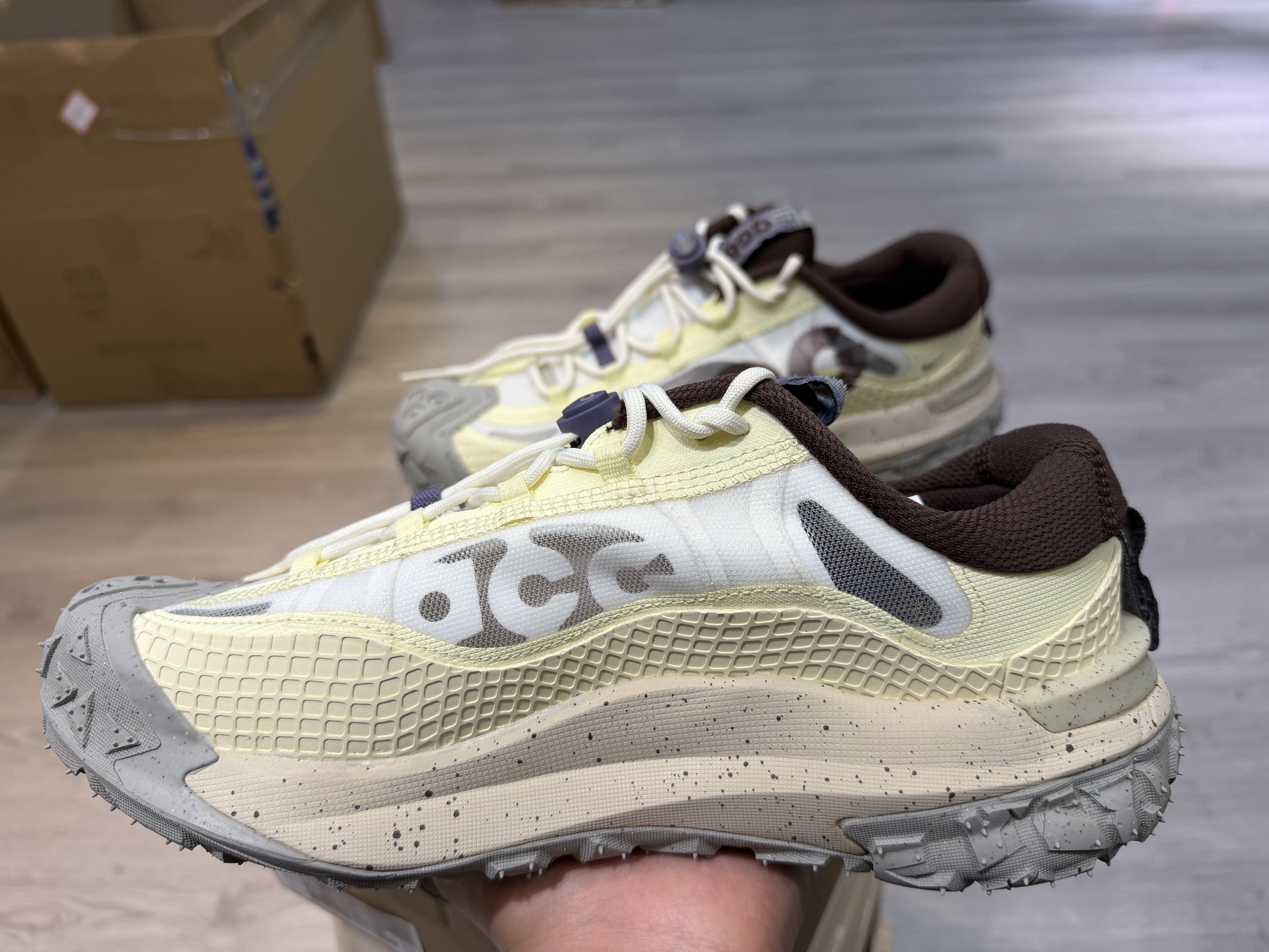 Nike ACG Mountain Fly 2 Low