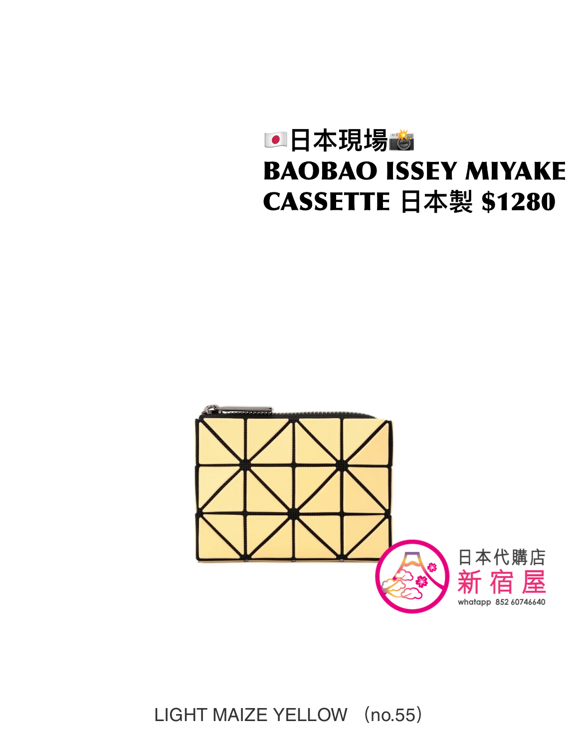 BAOBAO ISSEY MIYAKE CASSETTE
