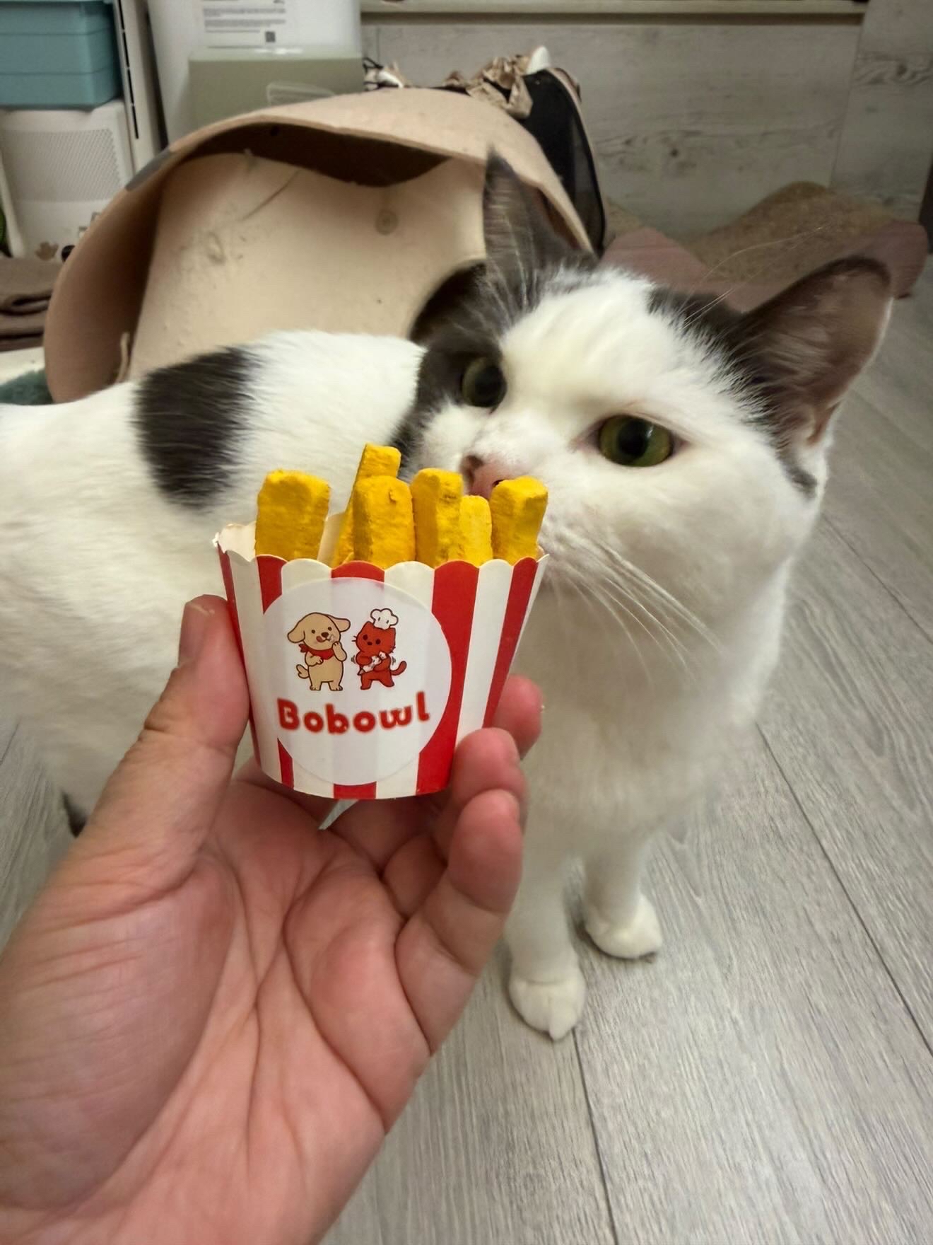 寵物養生健康小食 — 薯條造型