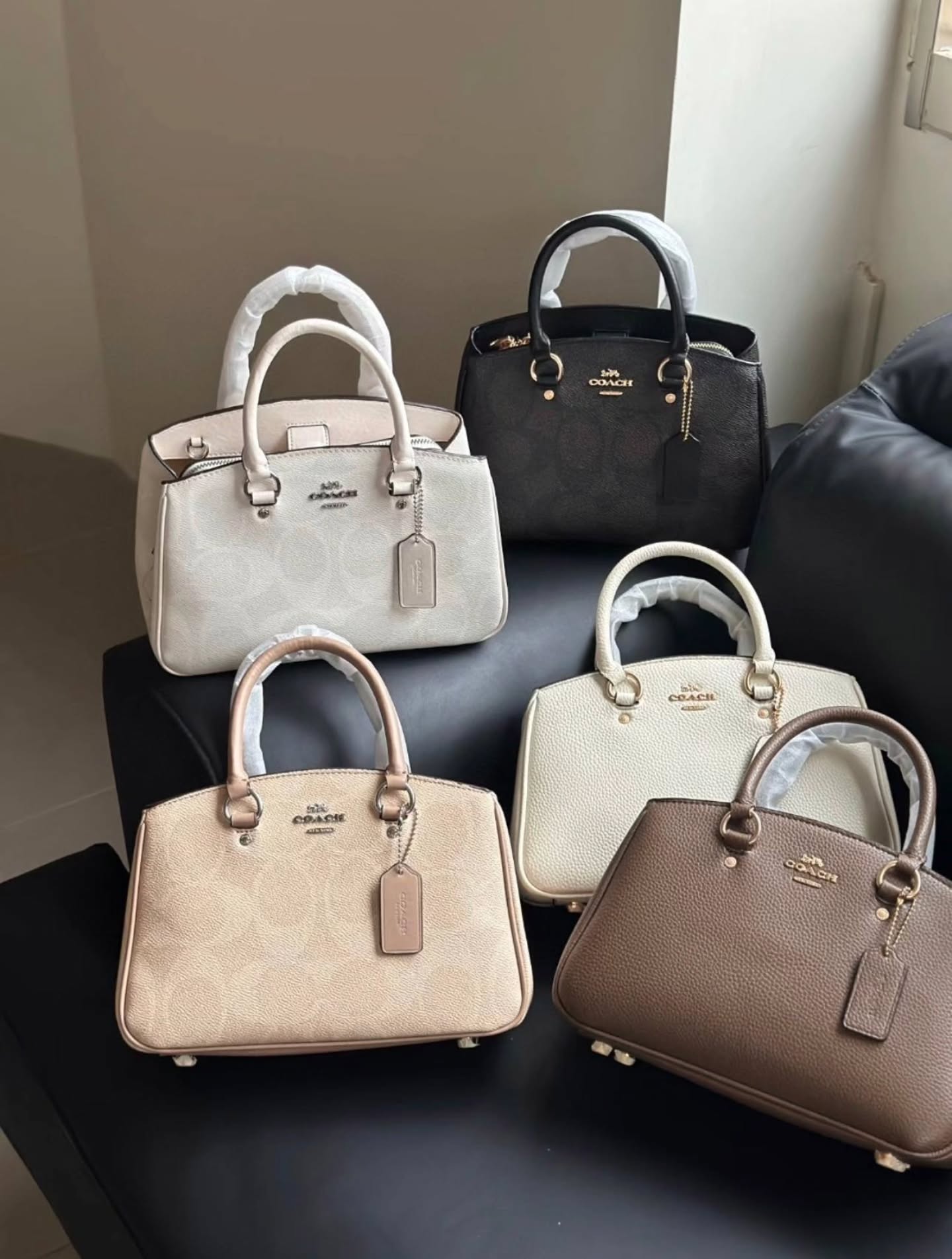 🇯🇵Coach Savannah 戴妃包