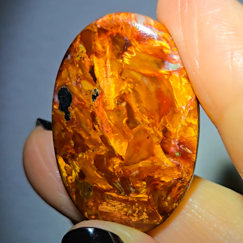 Golden pietersite cabochon - PT9