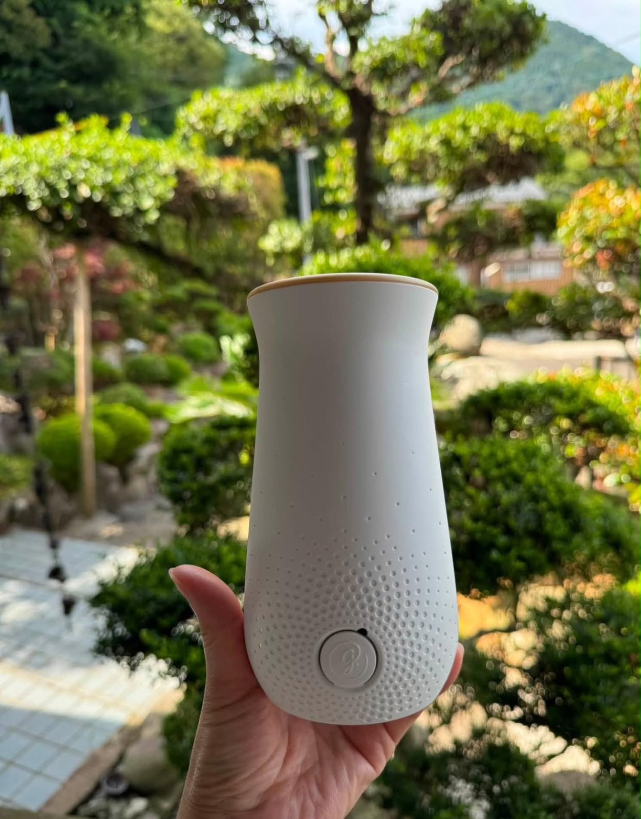 Glade I LOVE YOU 浪漫花香 動態感應噴霧