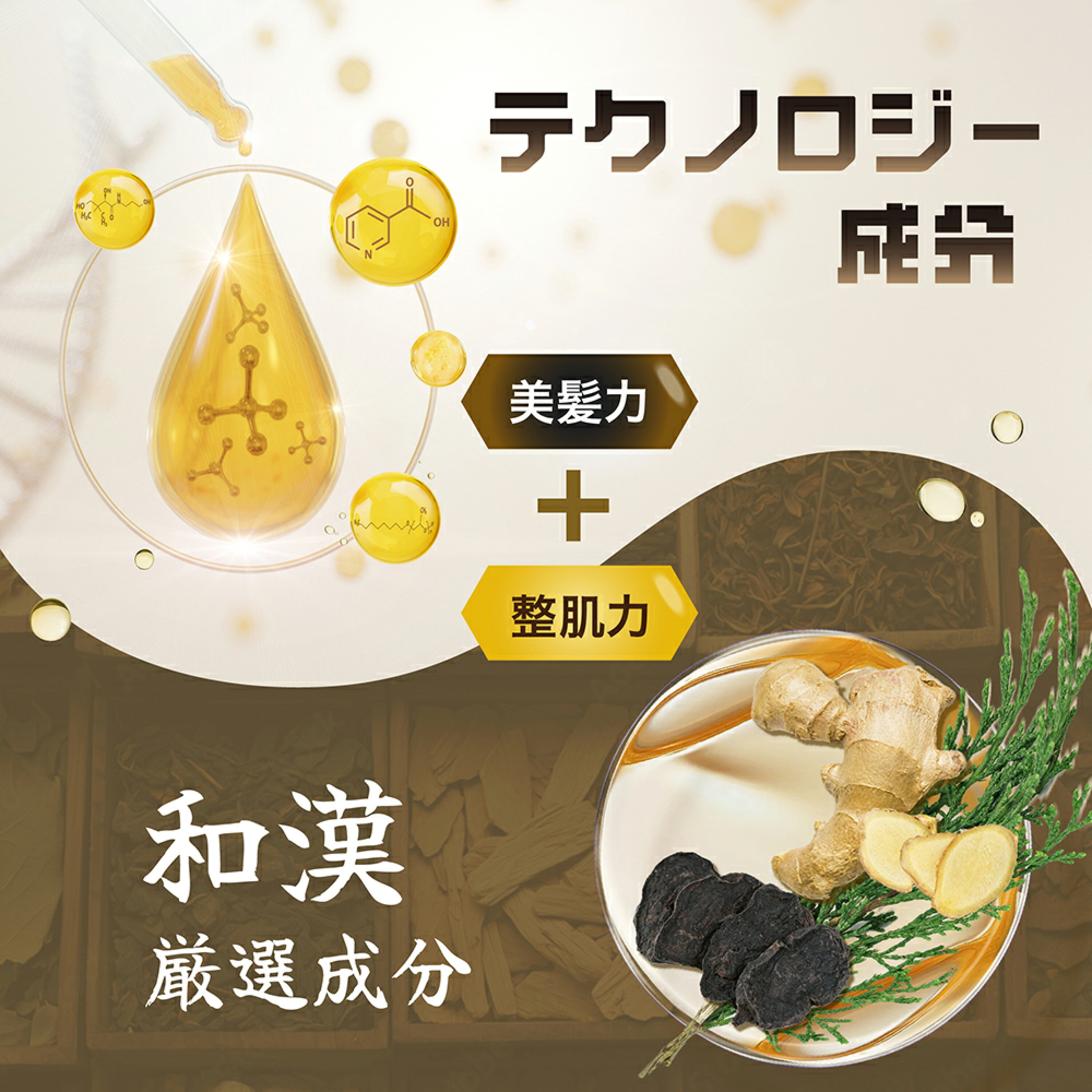 日本Costco 本週特價 Seika 全洗髮水&護髮素套裝 400ml x 2