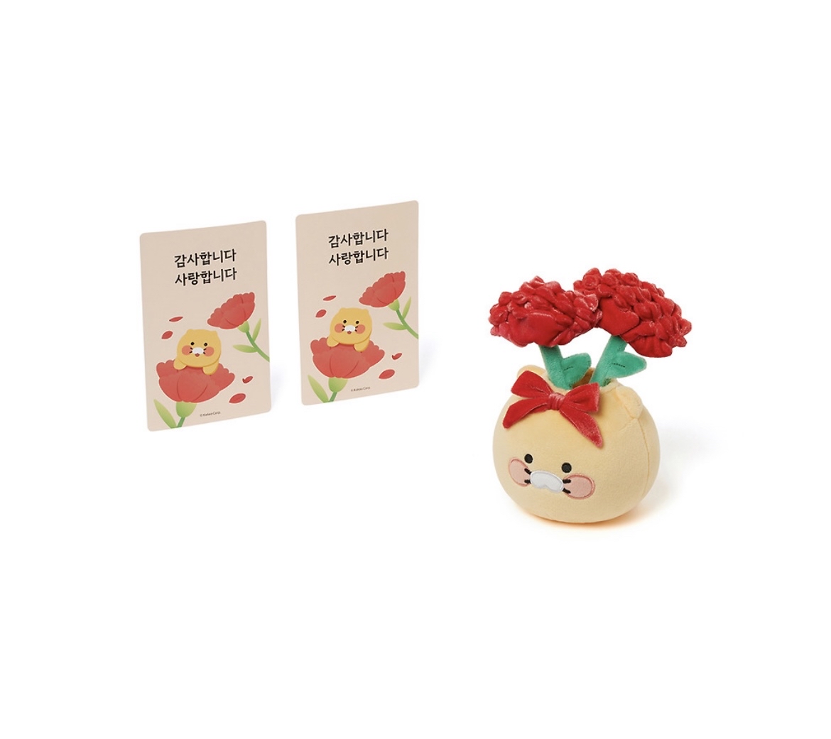 Kakao Friends 春植康乃馨花盆公仔