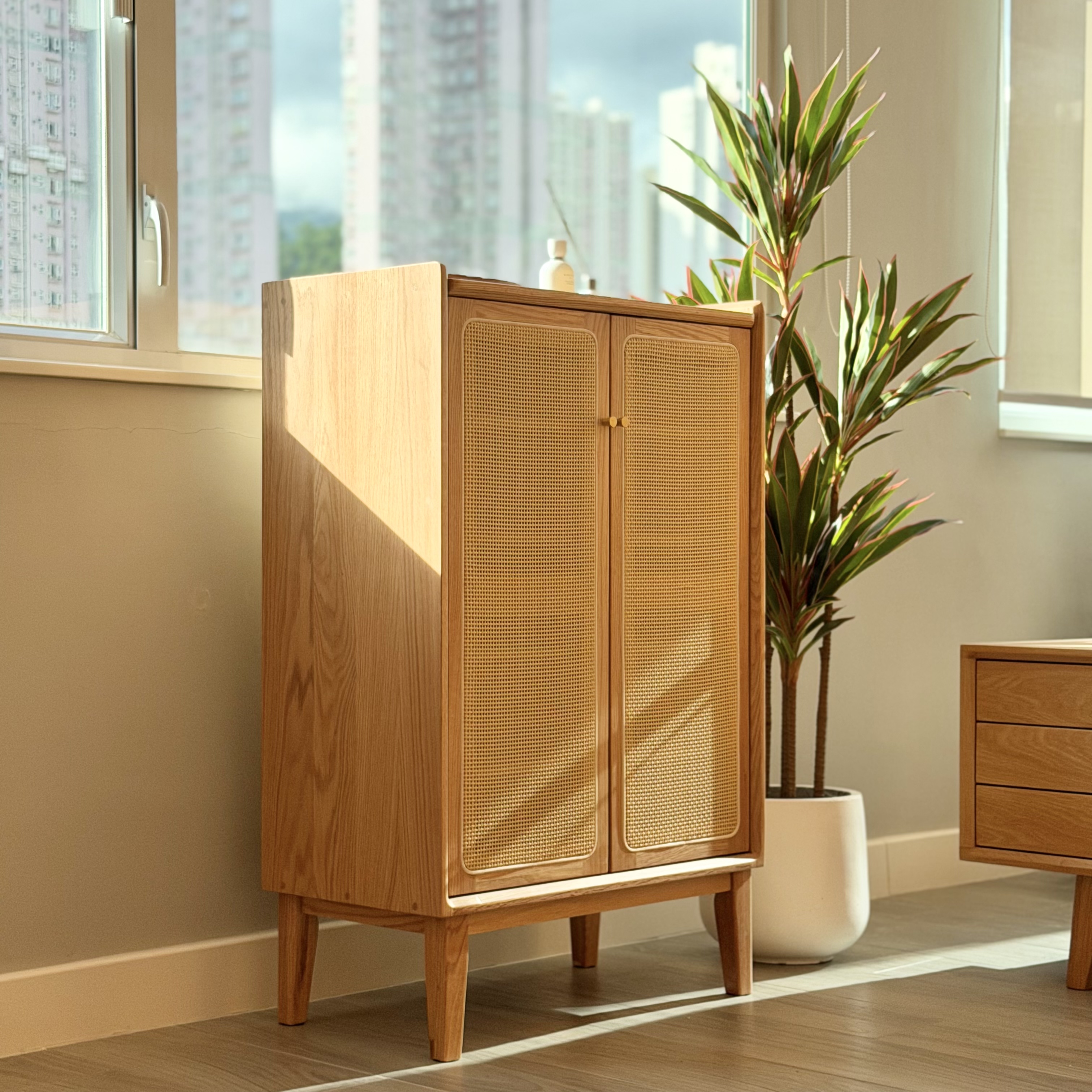 新品推介 SAIGON Shoe Cabinet 
