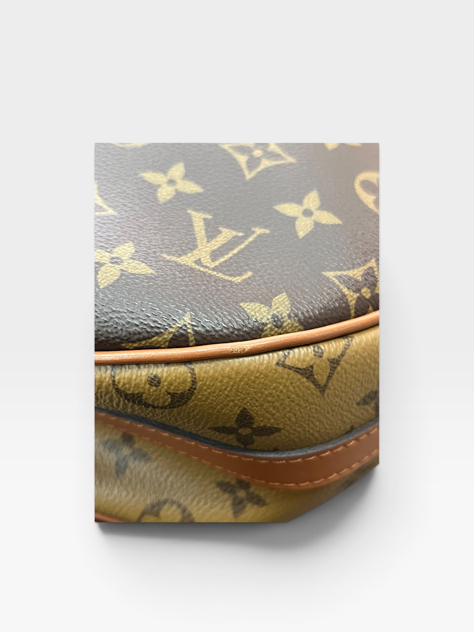 Pre-owned LOUIS VUITTON Loop Hobo Monogram Reverse / Product Code: 102501