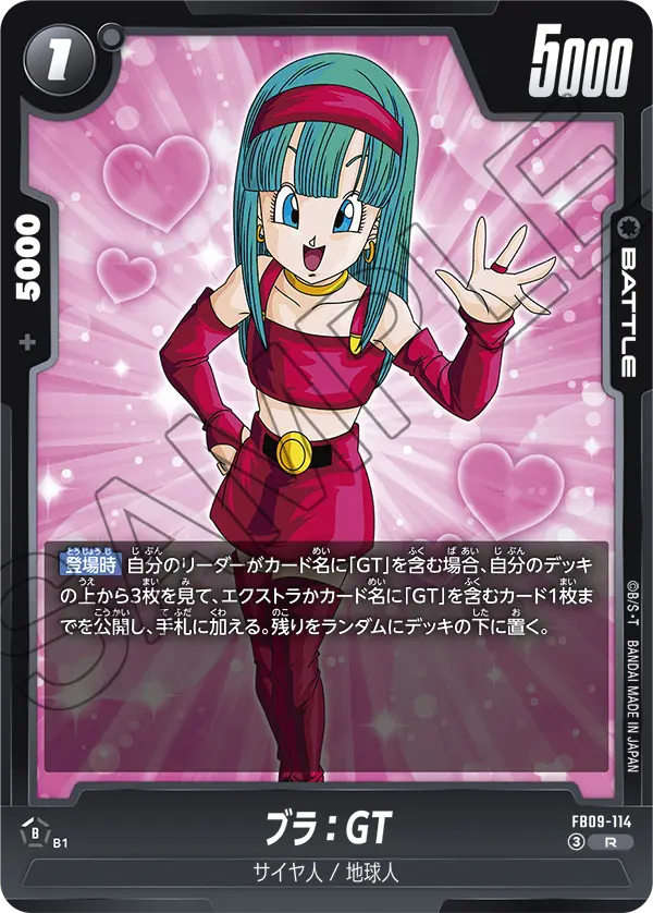 FB09-114 R ブラ：GT