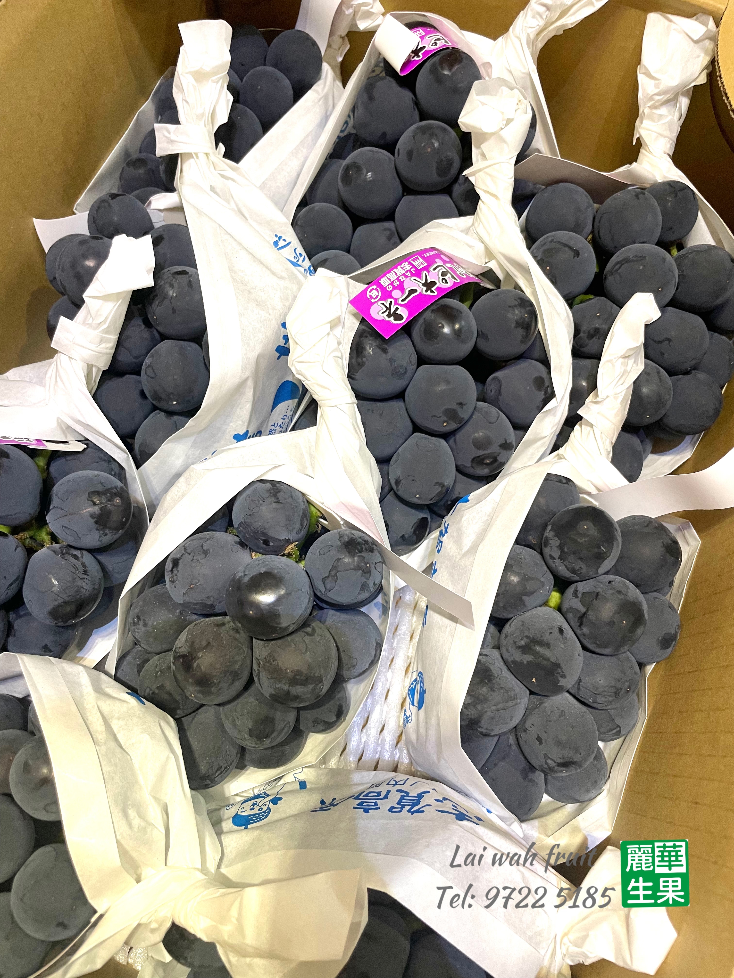  長野縣【'PIONE'無核黑提子 🍇】