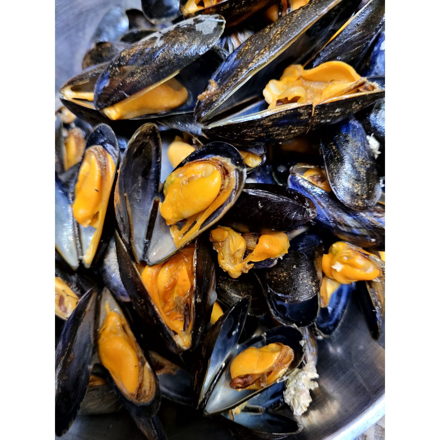 French Bouchot Blue Mussels (700g)  法國藍青口  (700克)