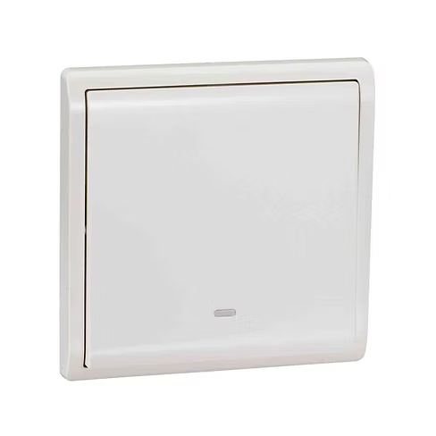 施耐德 Pieno 白 1位雙控 開關掣