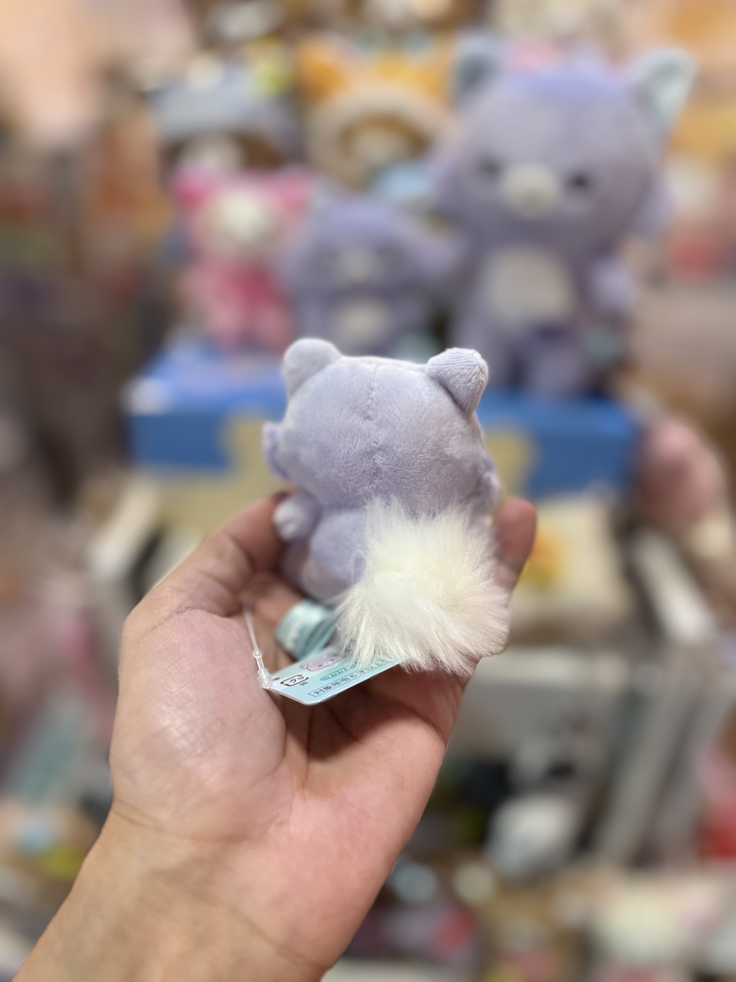 《現貨》全新Rilakkuma瓦瓦貓