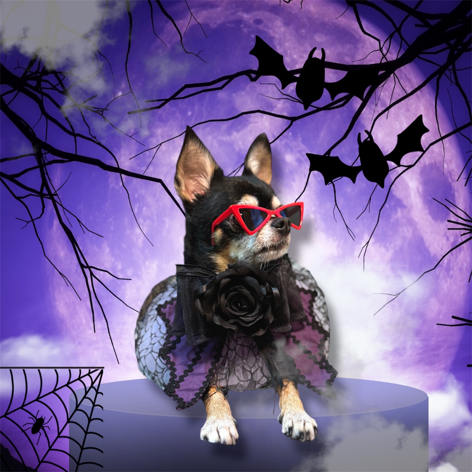 寵物手作 Halloween 暗黑者 歌德風 頸飾