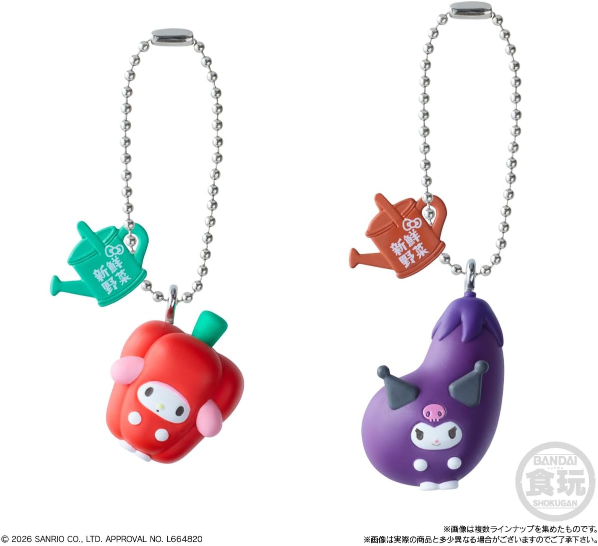 📦訂購 日本限定 Sanrio (食玩) 吊飾 (10個入りBOX)