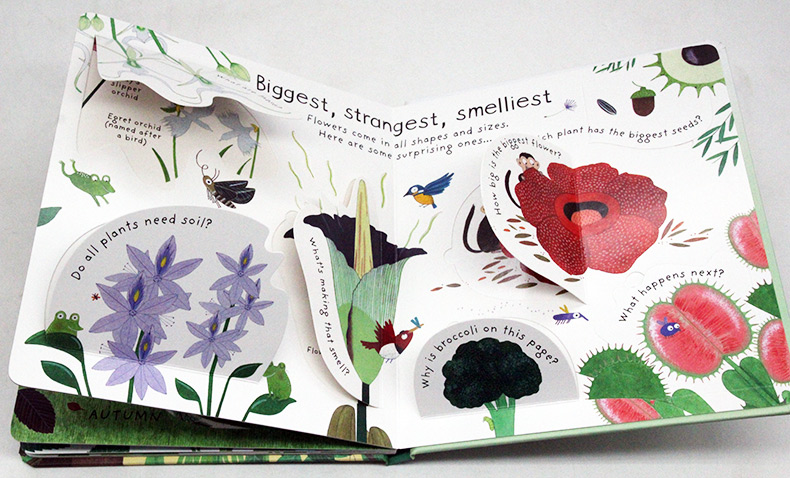 Usborne First Questions and Answers系列翻翻書 How Do Flowers Grow 花兒如何生長
