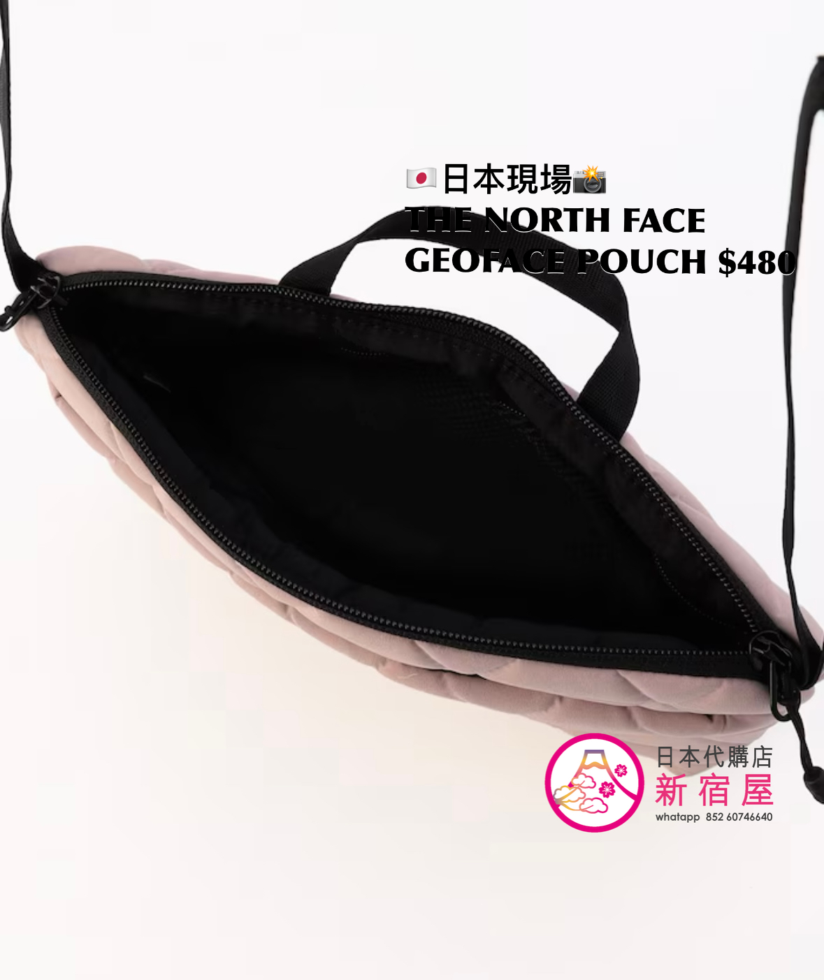 THE NORTH FACE GEOFACE POUCH