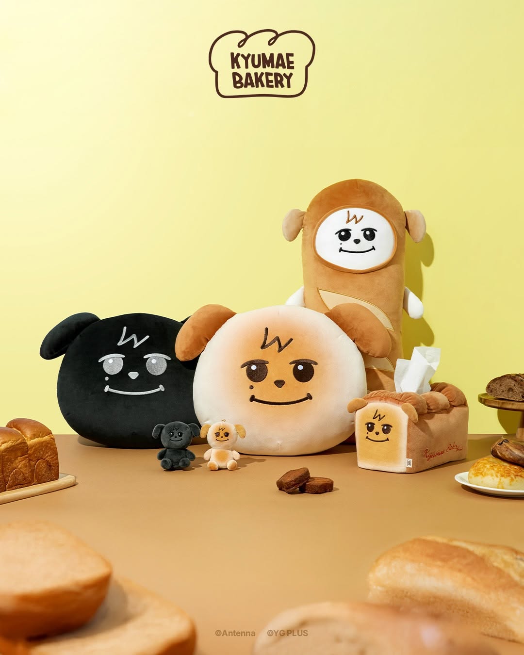 KyuHyun 圭賢 圭美 KYUMAE POP-UP STORE 周邊