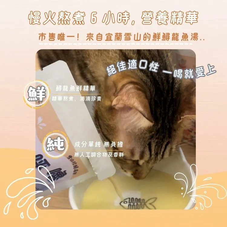 台灣寵愛毛毛慢燉鱘龍湯包