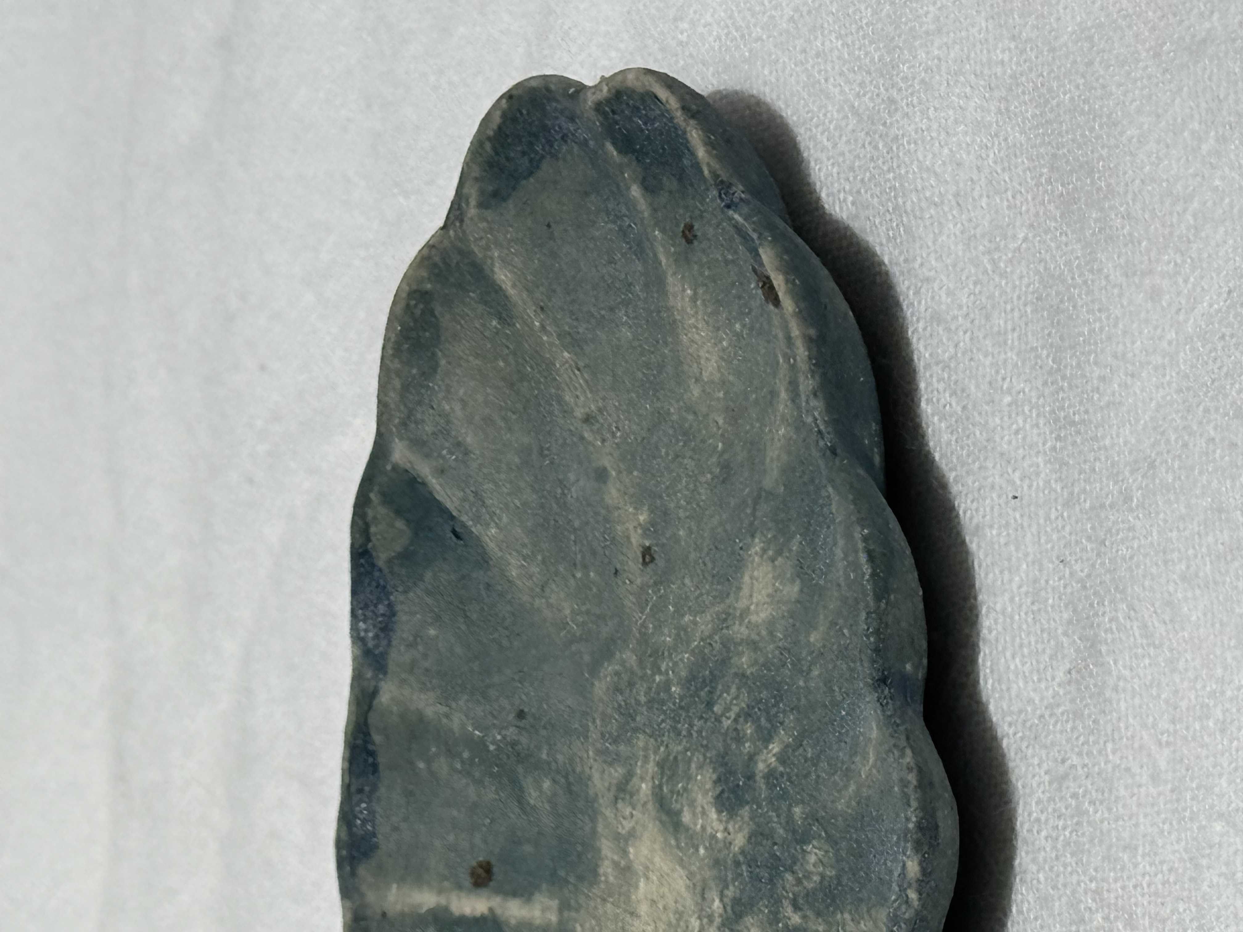 水谷智美 小料碟 花瓣 橢圓