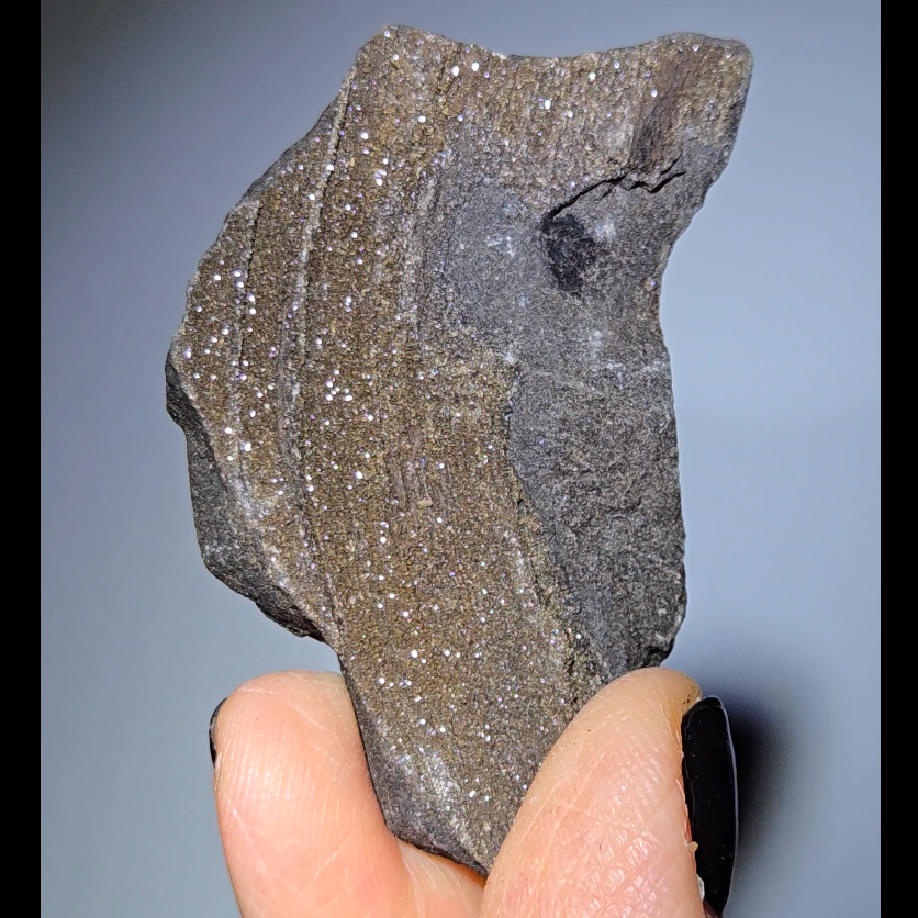 Opalescent wood from Germany - WD18
