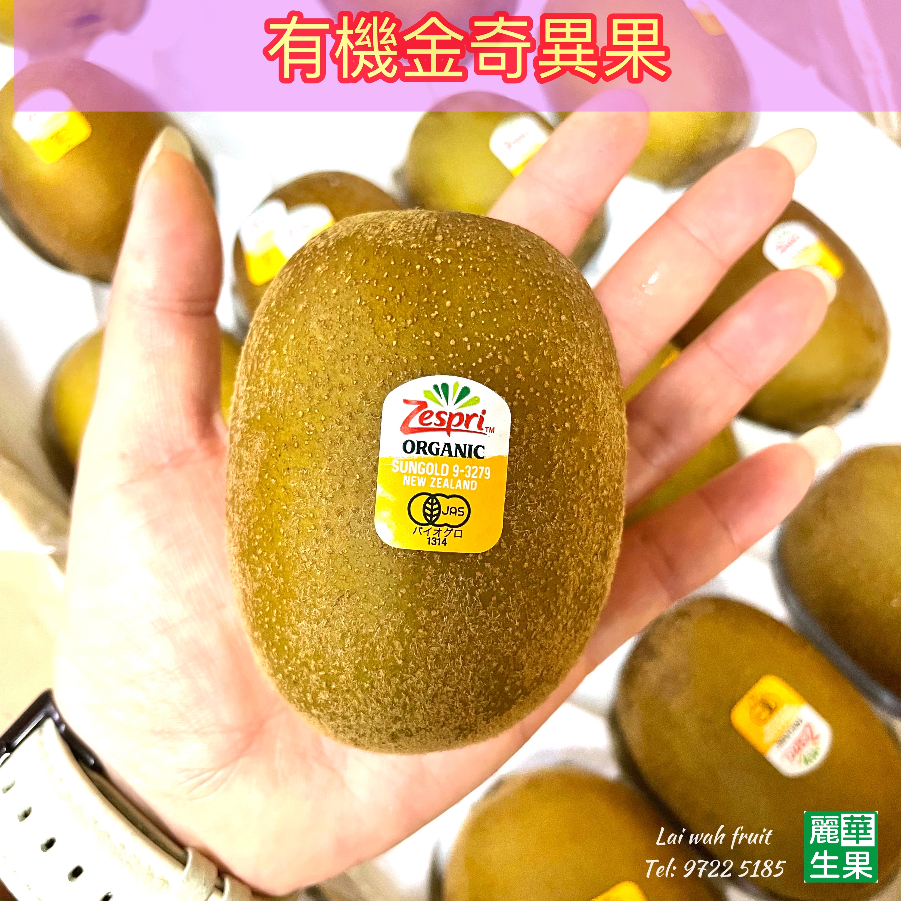 🐏紐西蘭【Zespri有機💛金奇異果🥝】$38/2個