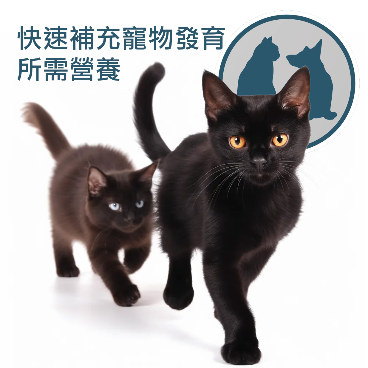 全方位羊奶粉貓狗通用｜喵探長｜台灣製造