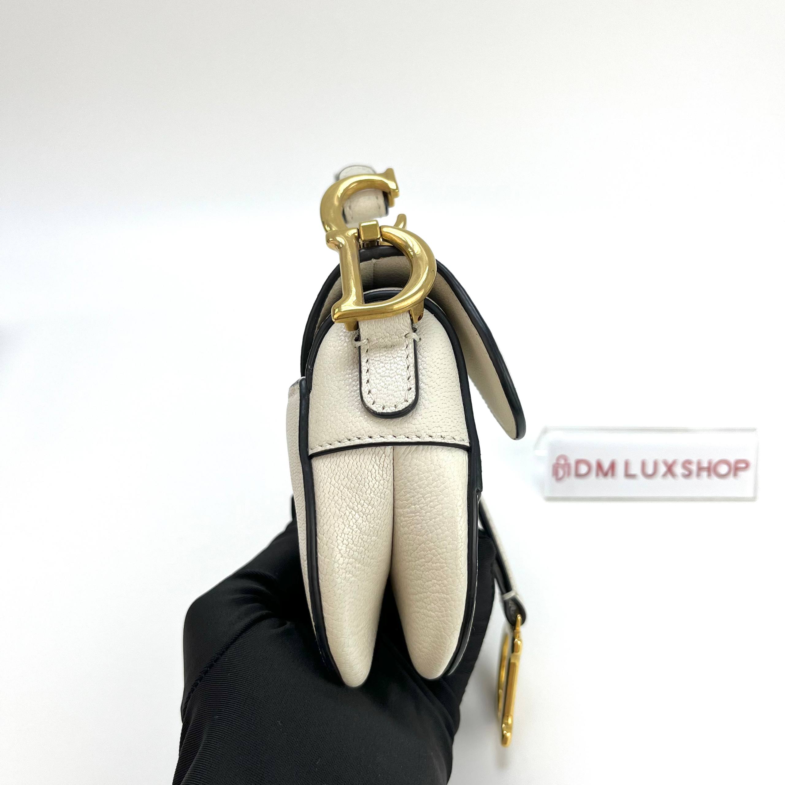 Dior White Micro Saddle GHW