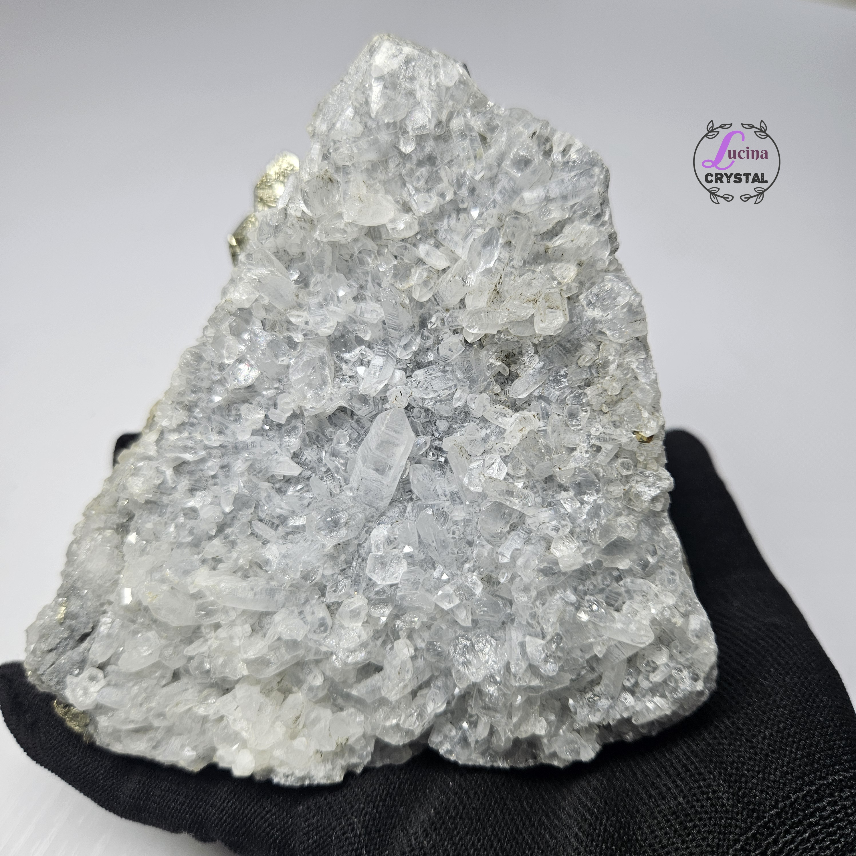(Co#LC8546)白水晶共生黃鐵礦晶簇/White Quartz Crystal Cluster with 𝘗𝘺𝘳𝘪𝘵𝘦