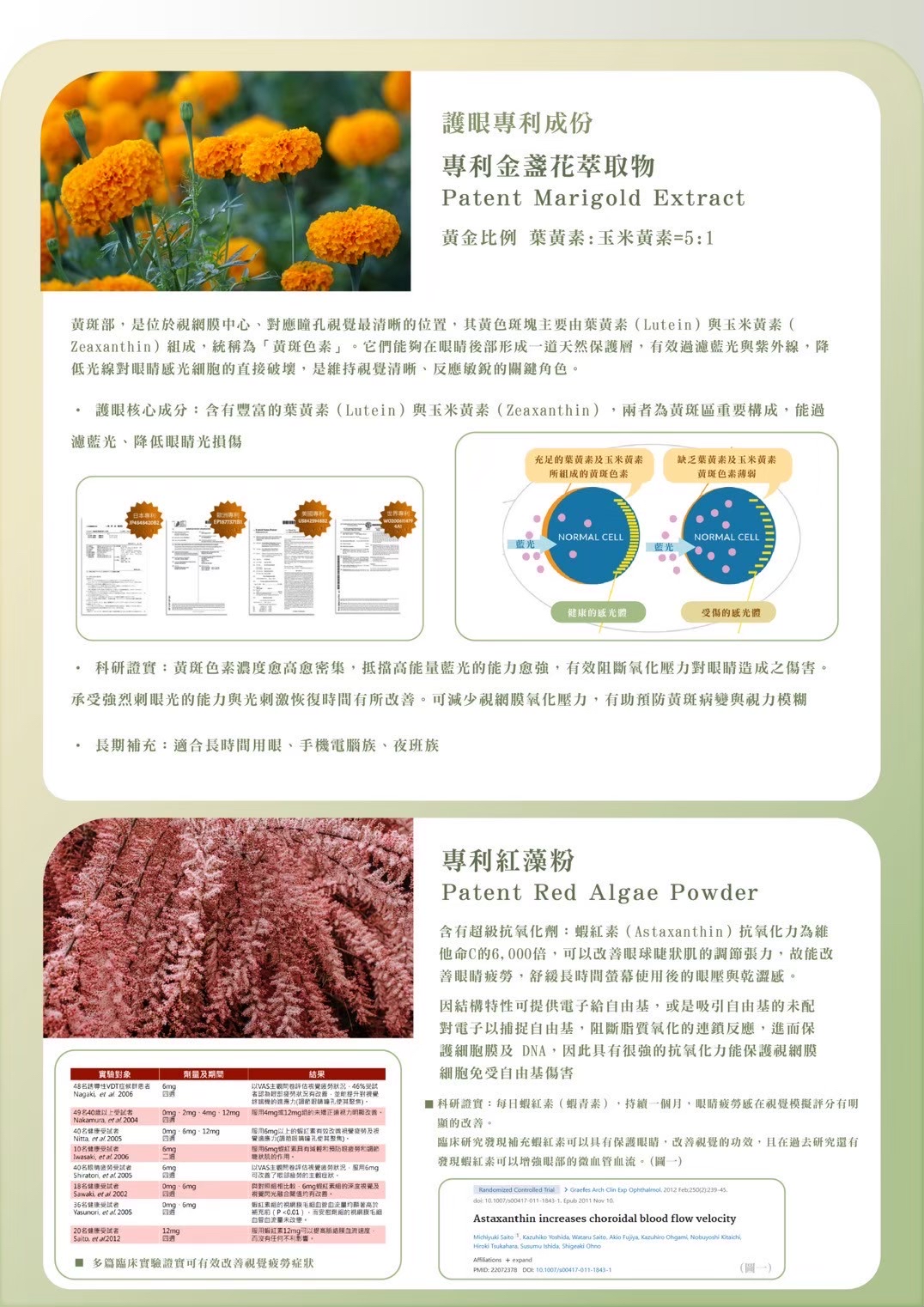 Pocina🍵👀抹香綠茶鐵觀音味代餐👀🍵