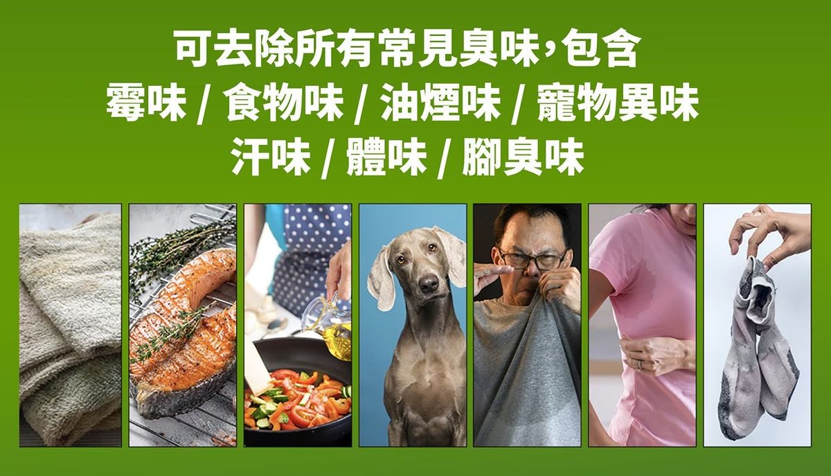 德國 Persil 寶瀅 全效能新配方洗衣凝露 洗衣液 4公升 平行進口