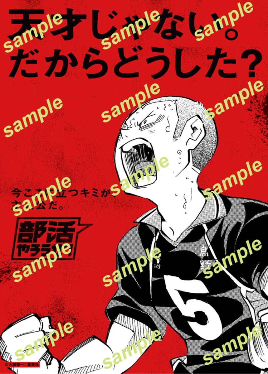 排球少年部活文件夾SET｜Sportiva 部活特集號