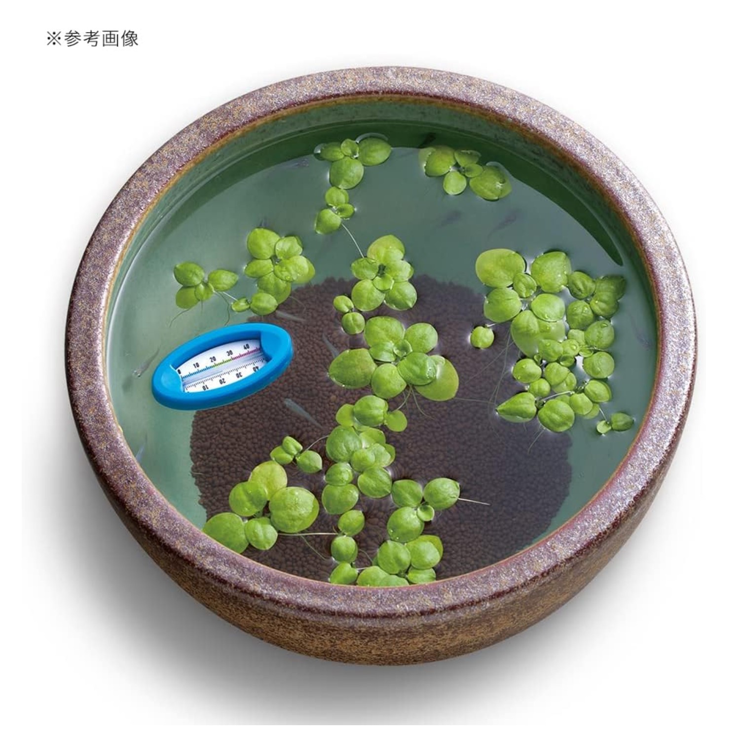 🔥🔥【日本直送《SUDO》觀賞魚盆專用浮水式溫度計】