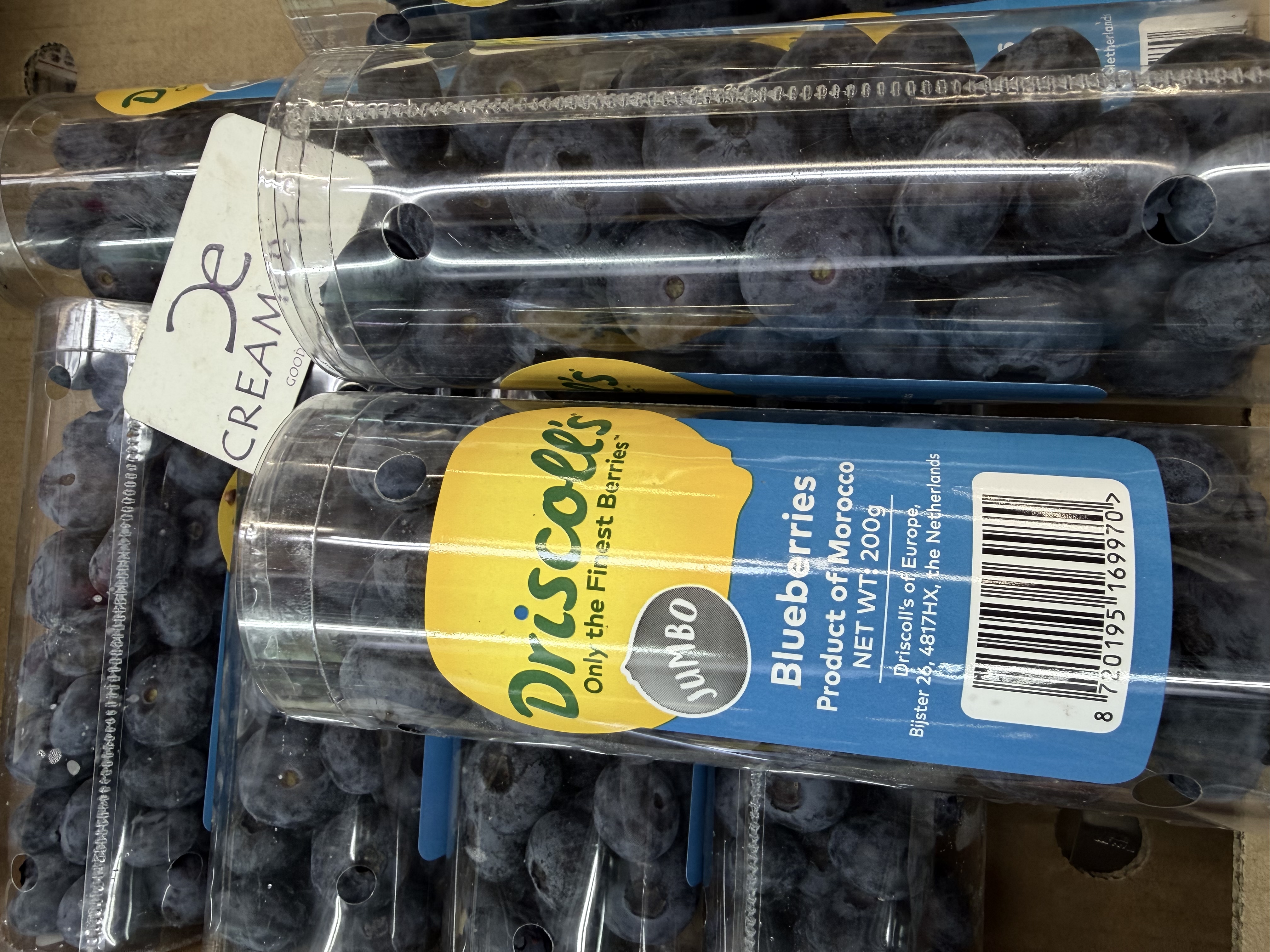 摩洛哥Driscoll's  珍寶藍莓 Morocco Driscoll's Jumbo Blueberries 圓筒裝 ±200g/筒 x2筒