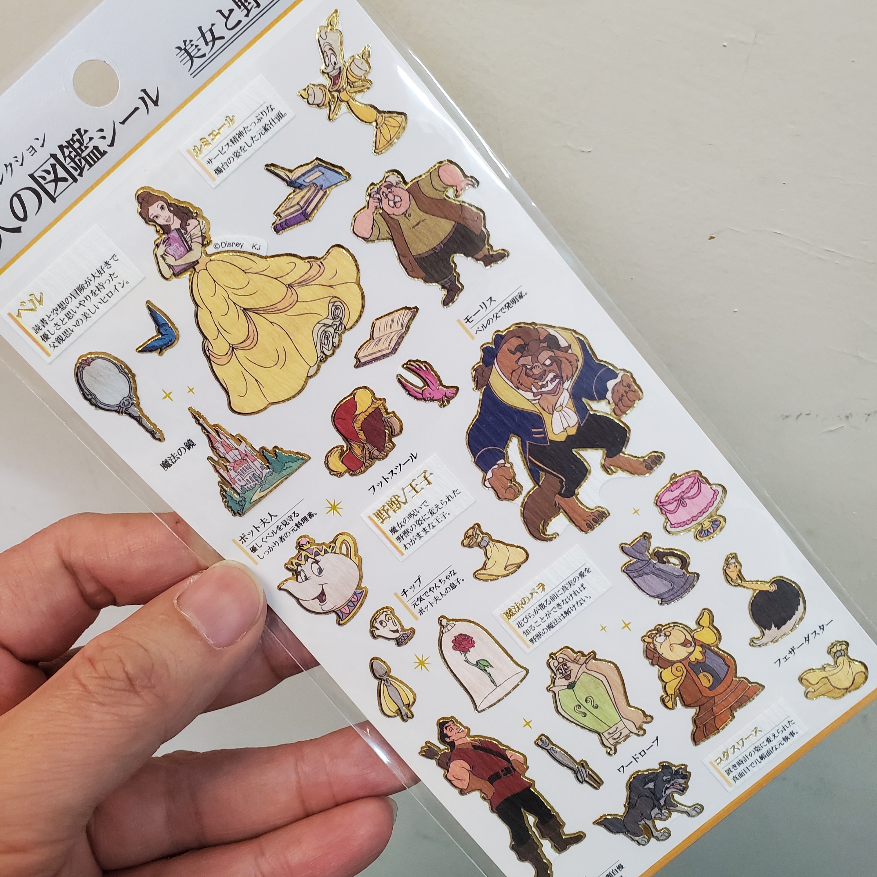 [現貨] [日本製] 美女與野獸 圖鑑貼紙 {TF047495}