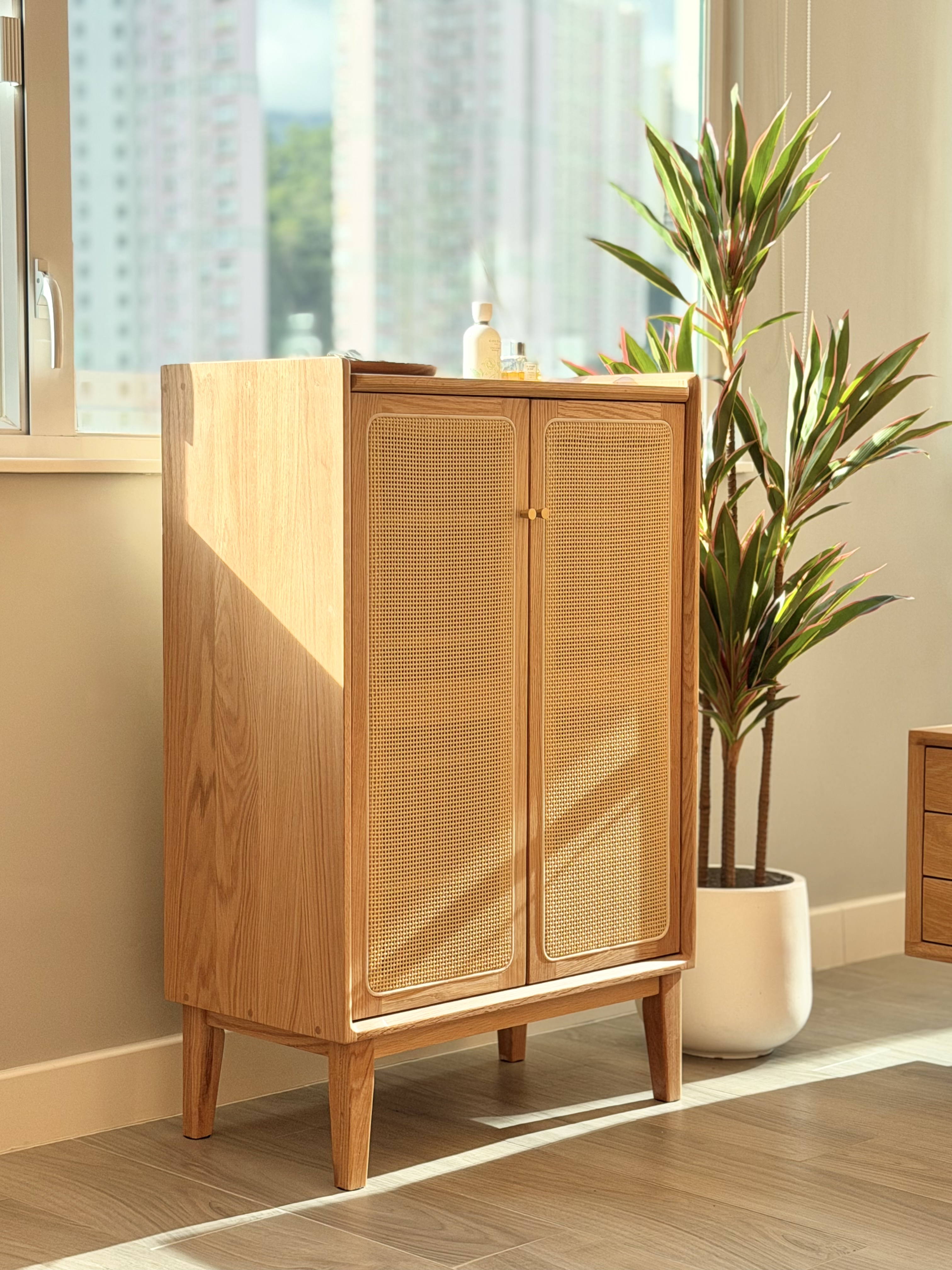 新品推介 SAIGON Shoe Cabinet 