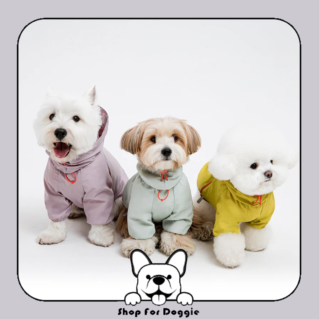 韓國 Latta Filmcover Jacket windbreaker