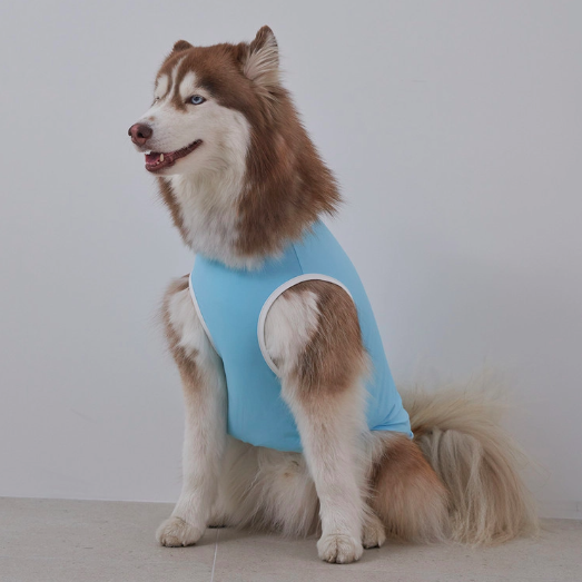 *Super Pet🇰🇷狗狗涼感背心(DG416) 尺碼S-6XL