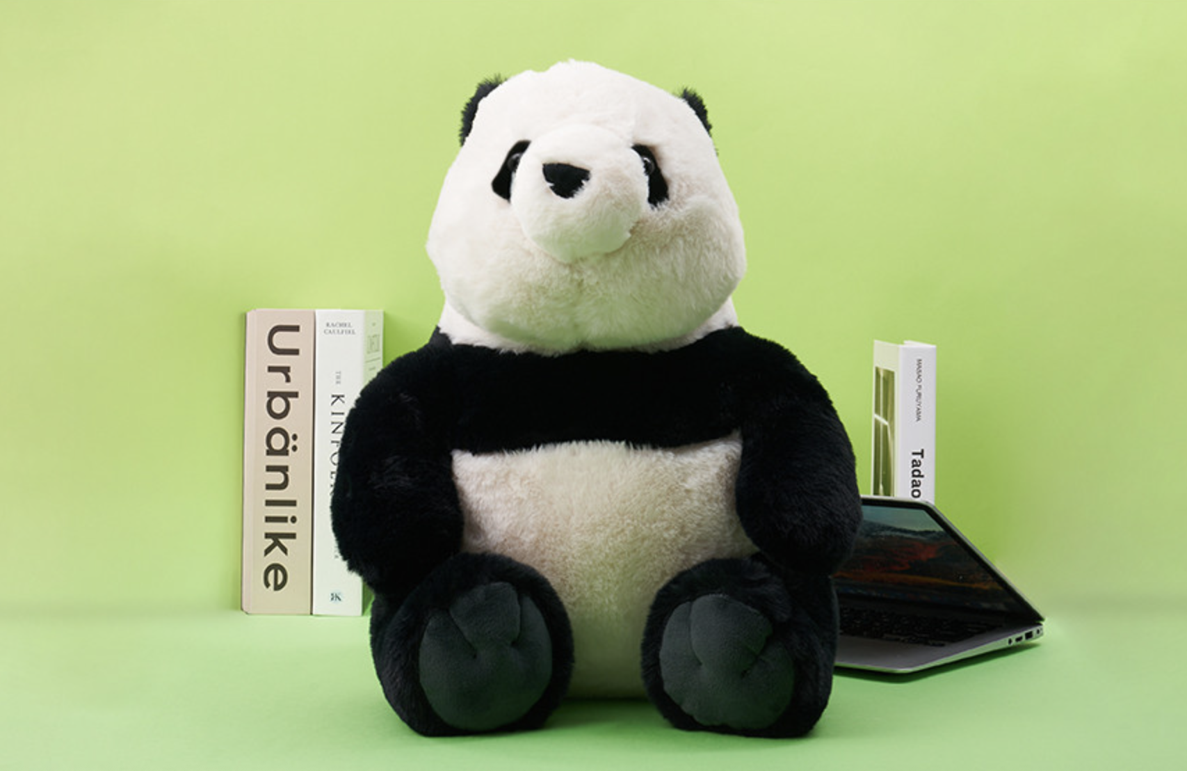 📦訂購 韓國代購 愛寶樂園 Everland Bao Family 寶家族 福寶 暖手枕公仔🧸