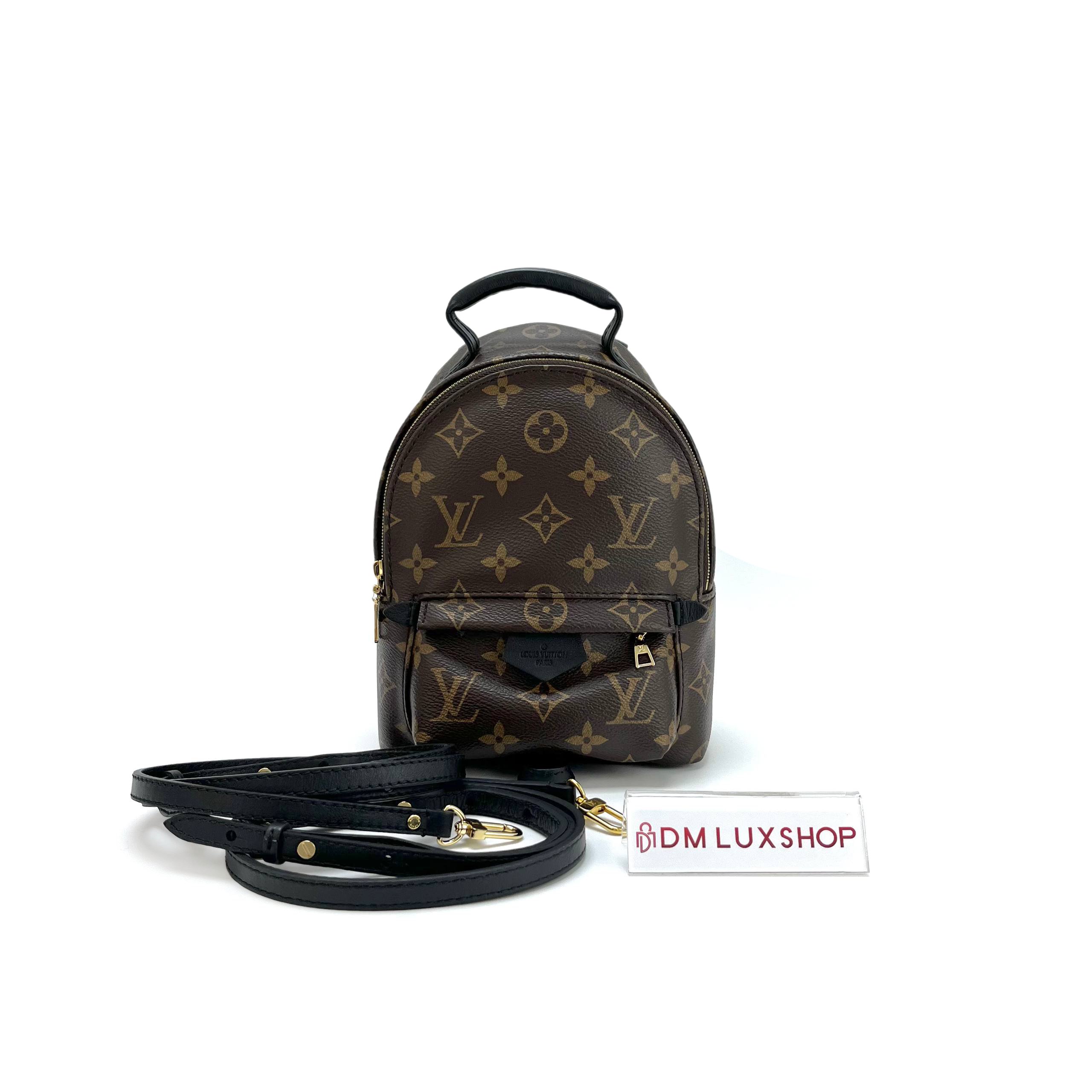 LV Monogram Palm Springs Mini GHW