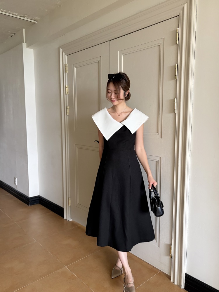 Celine Contrast Collar Dress