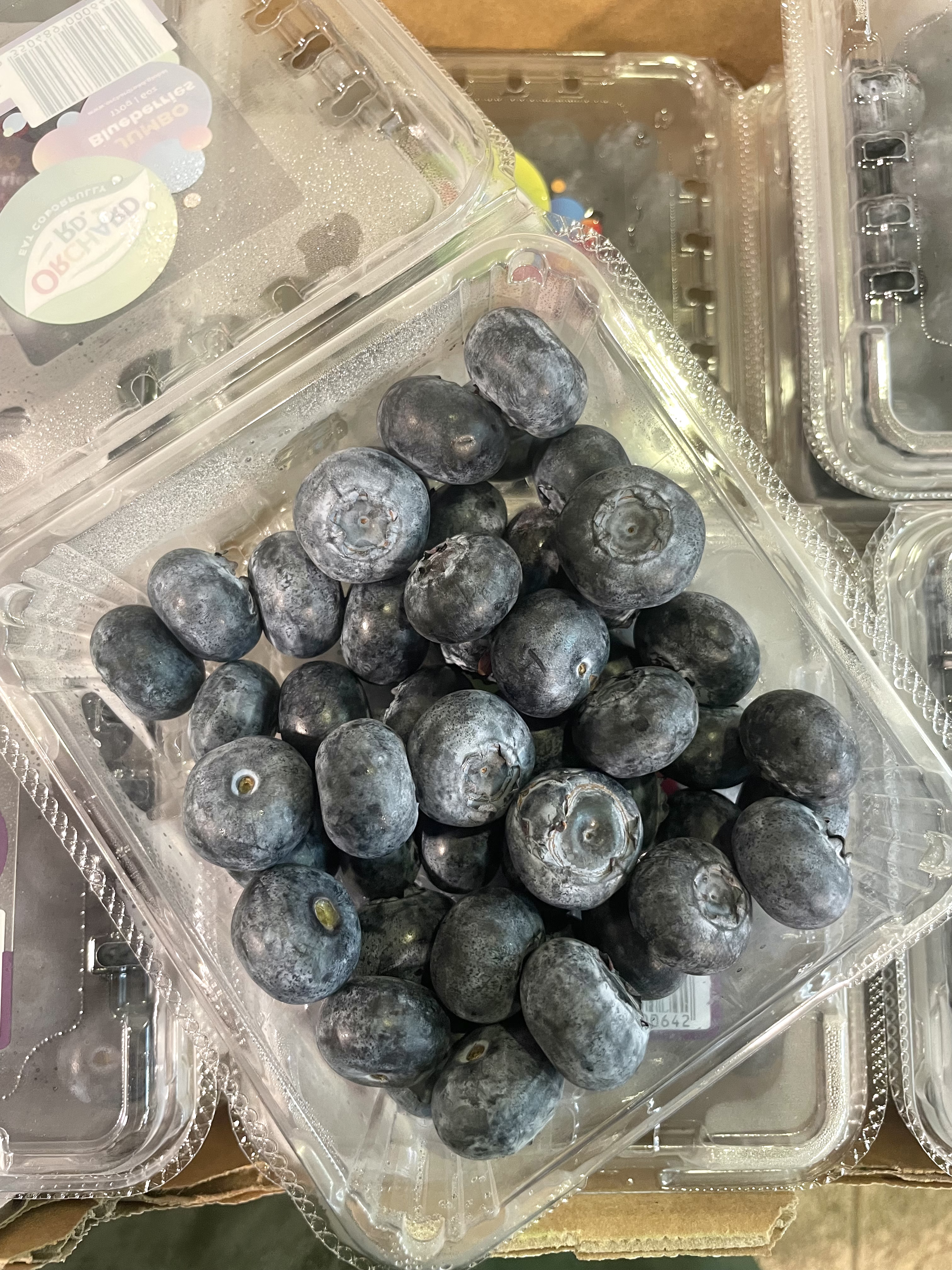 🇦🇺重量級🏋🏻【澳洲JUMBO 藍莓(170g)】🫐