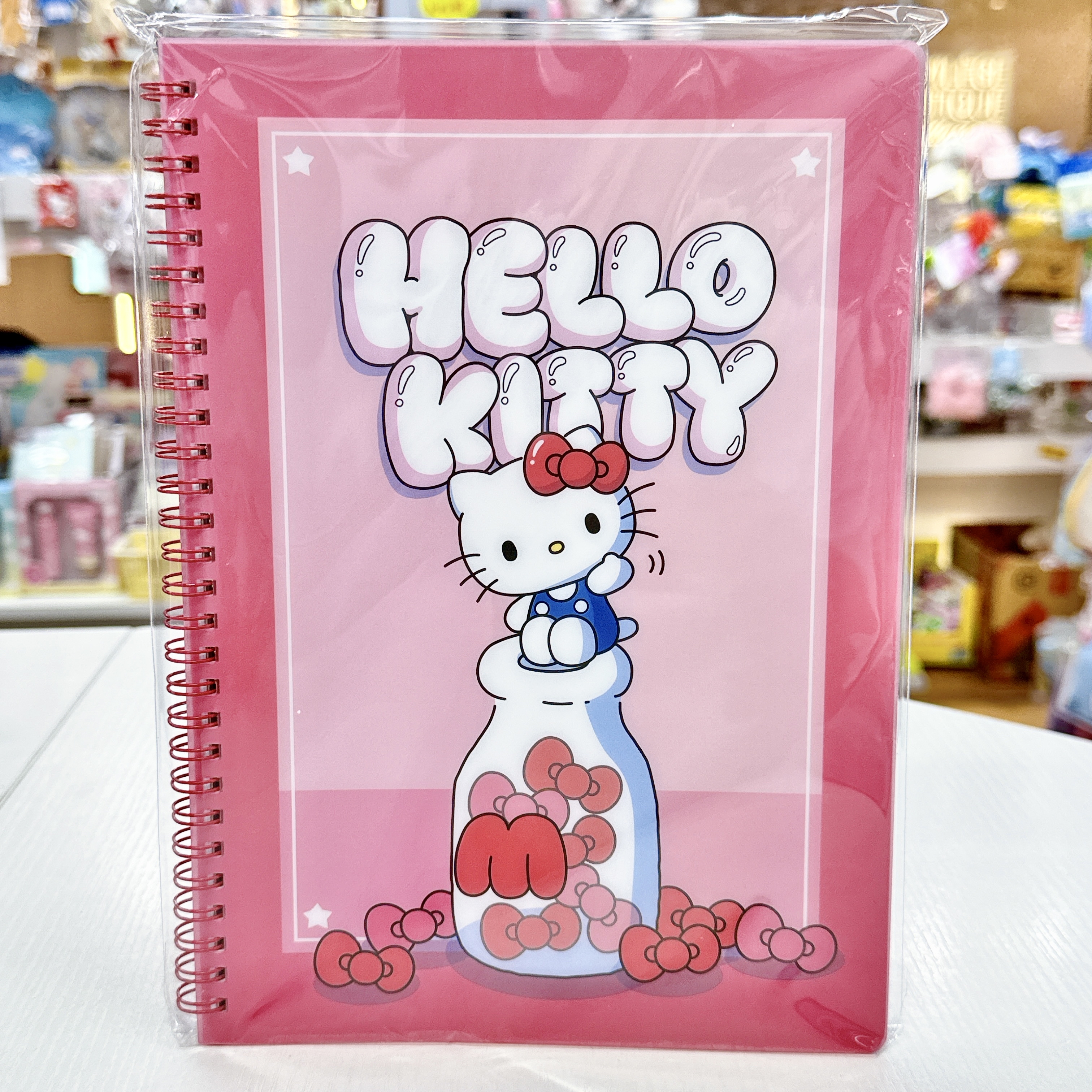 Sanrio /多啦A夢筆記簿 25×18×1 cm