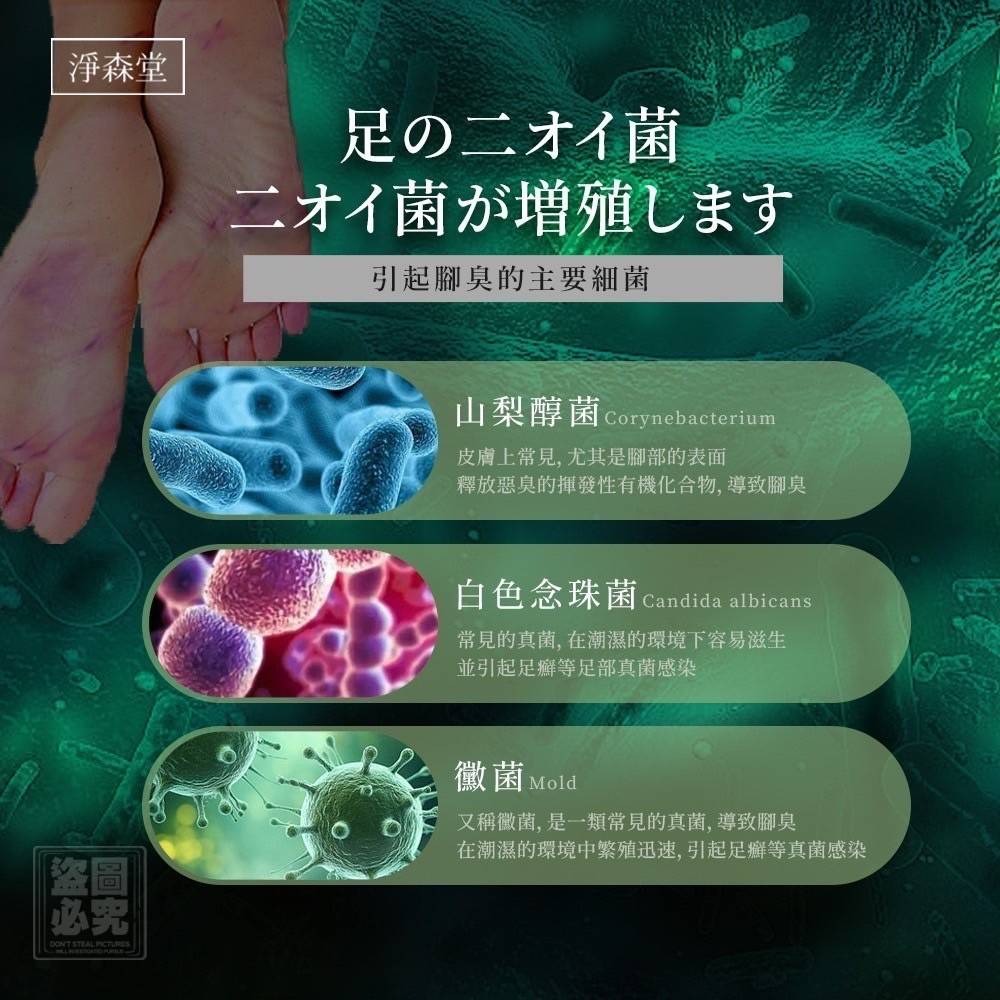 台灣【淨森堂 抑菌芳香足部清潔液】