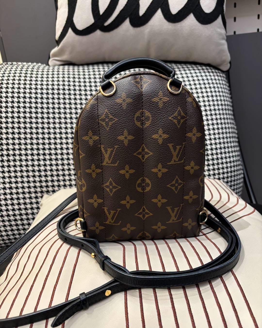 Lv mini Palm Springs backpack  100%Authentic, 95%New ✅Dust bag