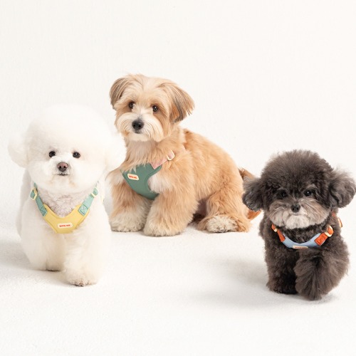 *預購 BiteMe🇰🇷 Comfort Harness v2