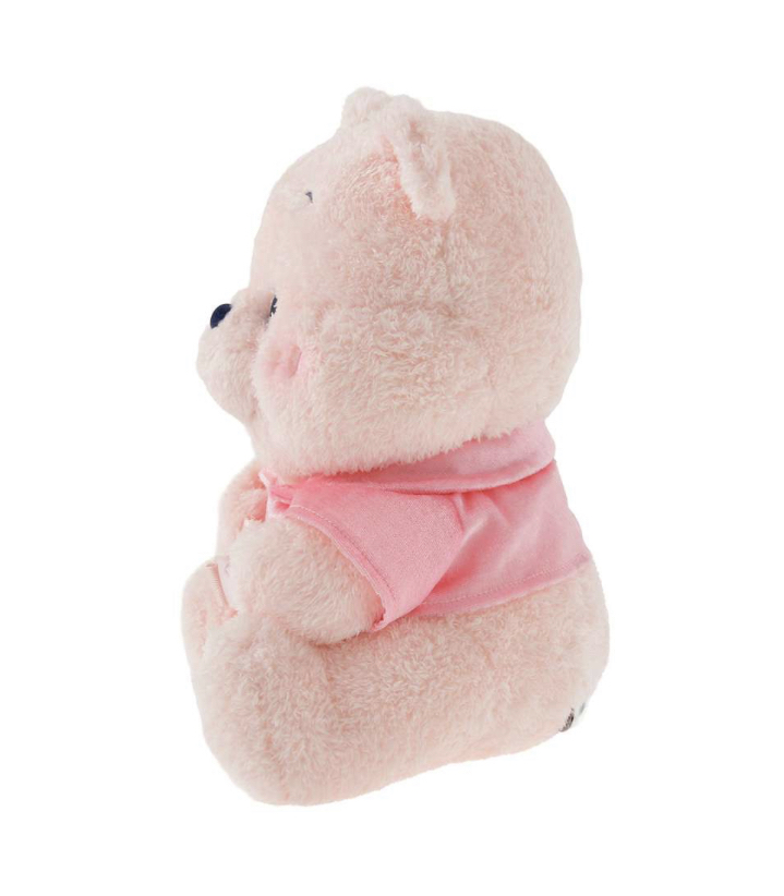 Winnie the Pooh公仔連頸枕