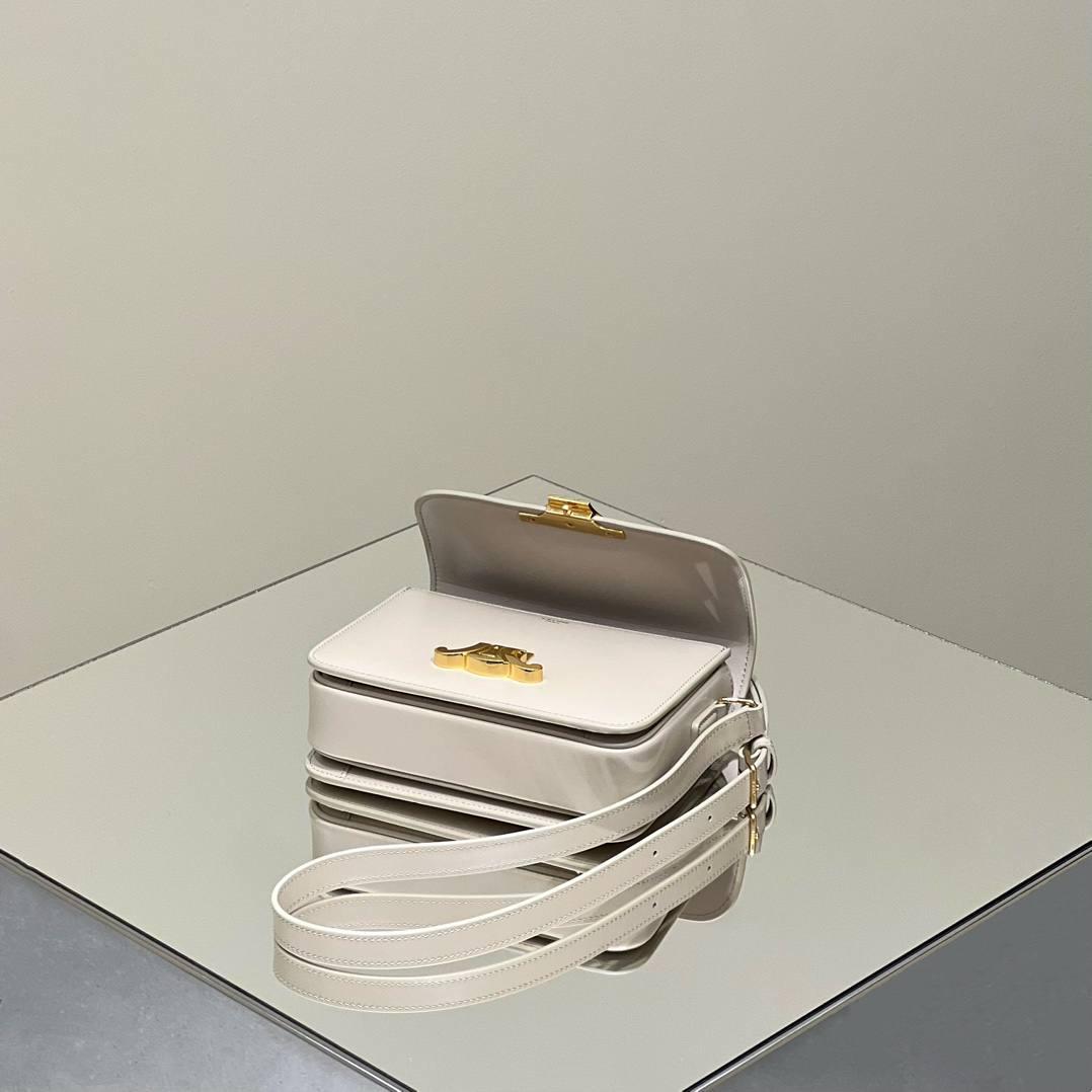 🔥大货实拍图 𝗖𝗘𝗟𝗜𝗡𝗘 ♥ 𝗧𝗘𝗘𝗡 𝗧𝗥𝗜𝗢𝗠𝗣𝗛𝗘 型号：188423 中号尺寸：22.5*16*7cm 小号尺寸：18.5*14*6cm