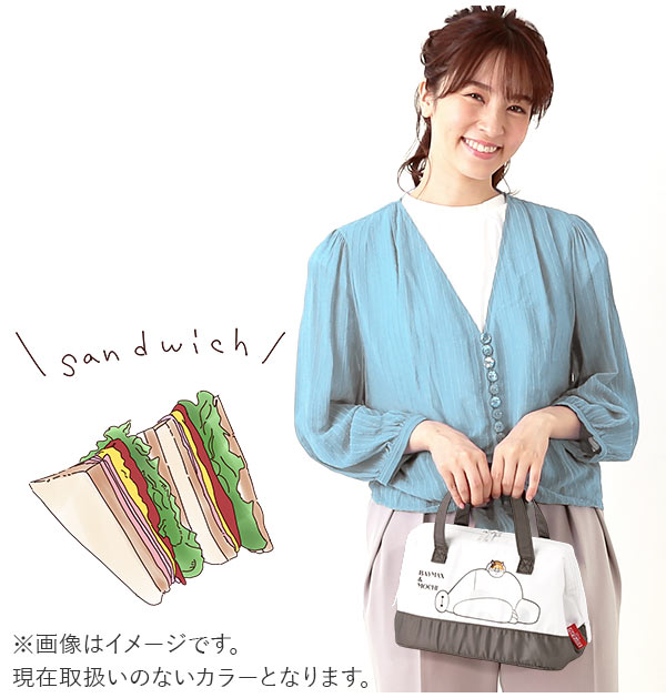 【⭐訂購⭐】 🇯🇵日本直送 🌀Skater 卡通保溫便當袋 (闊22cm) 🌀 [PLAD-0068] [260207]